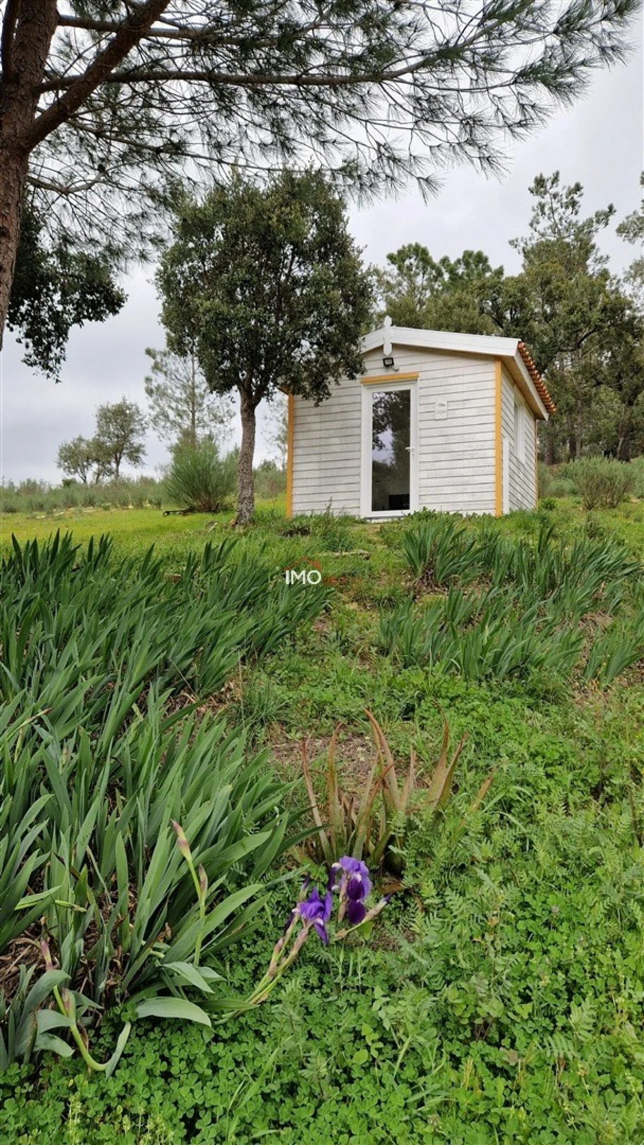 Quinta T2 para Venda em Reguengo e São Julião Foto 16