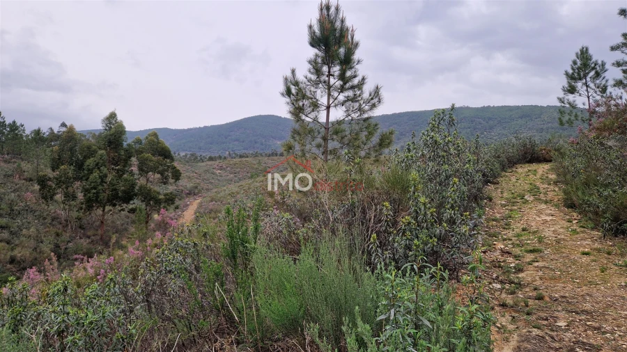 Quinta T1 para Venda em Reguengo e São Julião Foto 21