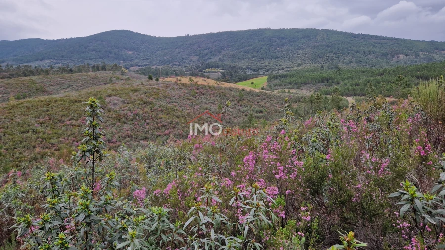 Quinta T1 para Venda em Reguengo e São Julião Foto 22