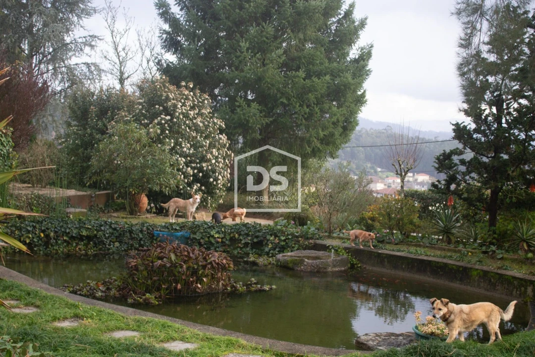 Quinta T4 para Venda em Abragão Foto 33