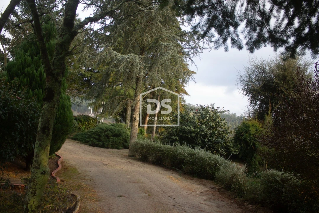 Quinta T4 para Venda em Abragão Foto 28