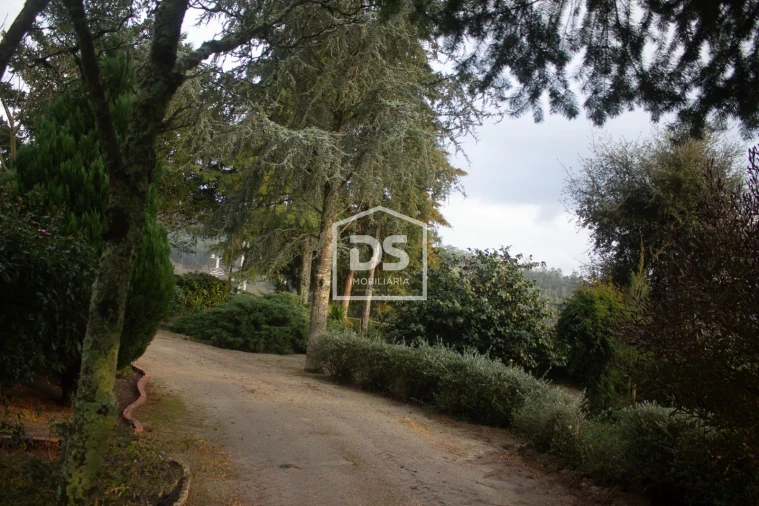 Quinta T4 para Venda em Abragão Foto 28