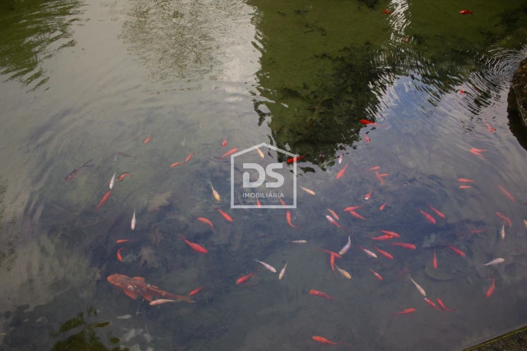 Quinta T4 para Venda em Abragão Foto 36