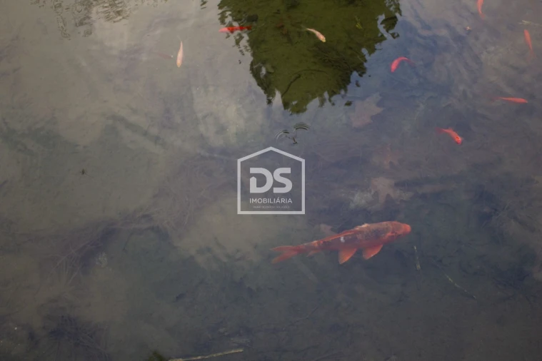 Quinta T4 para Venda em Abragão Foto 49