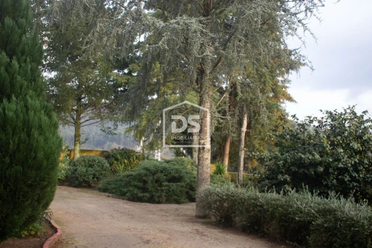 Quinta T4 para Venda em Abragão Foto 29