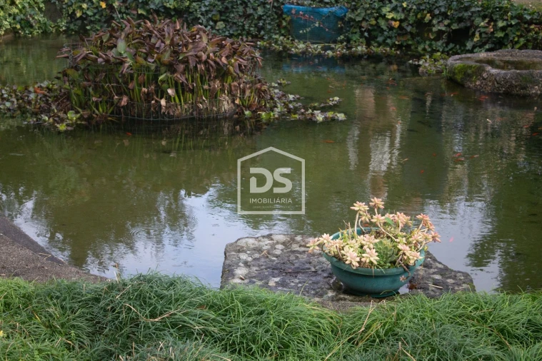 Quinta T4 para Venda em Abragão Foto 46