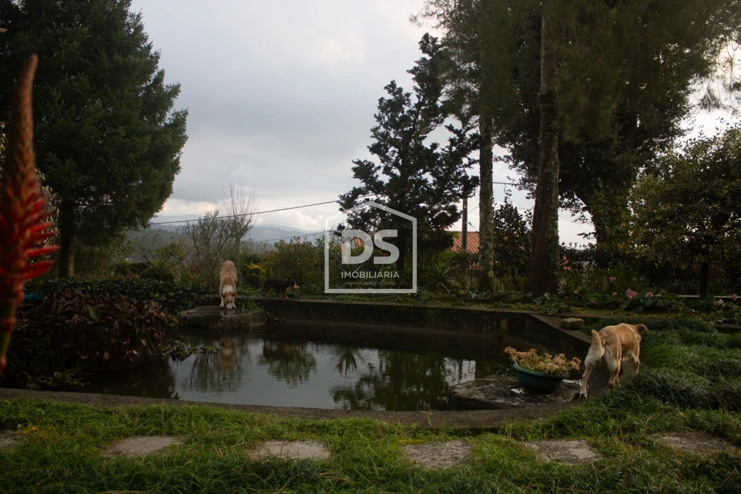 Quinta T4 para Venda em Abragão Foto 27