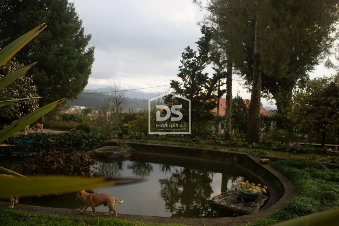 Quinta T4 para Venda em Abragão Foto 25