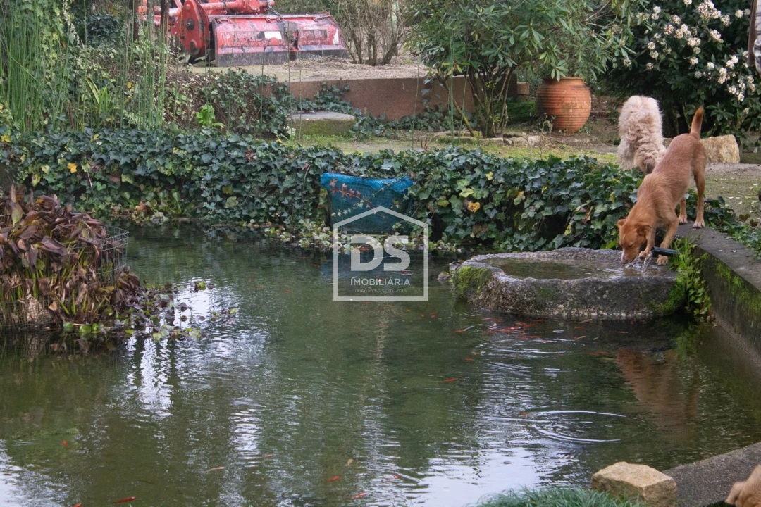 Quinta T4 para Venda em Abragão Foto 50