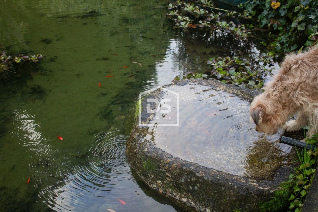 Quinta T4 para Venda em Abragão Foto 37