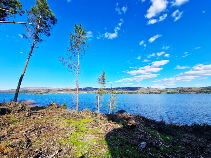 Quinta T5 para Venda em Faia Foto 3