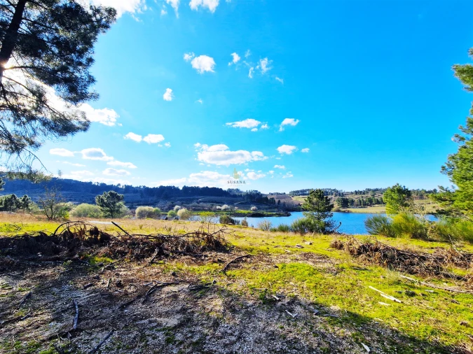 Quinta T5 para Venda em Faia Foto 42
