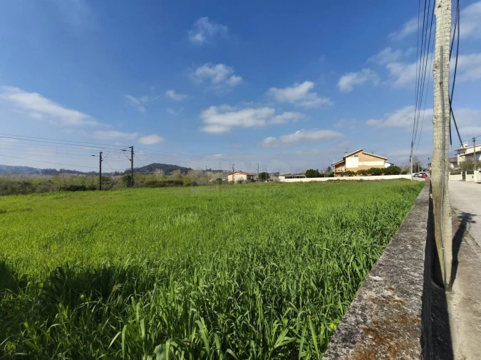 Terreno para Venda em Trouxemil e Torre de Vilela Foto 12