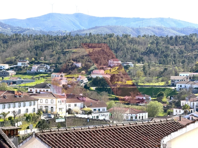 Moradia T4 para Venda em Côja e Barril de Alva Foto 25