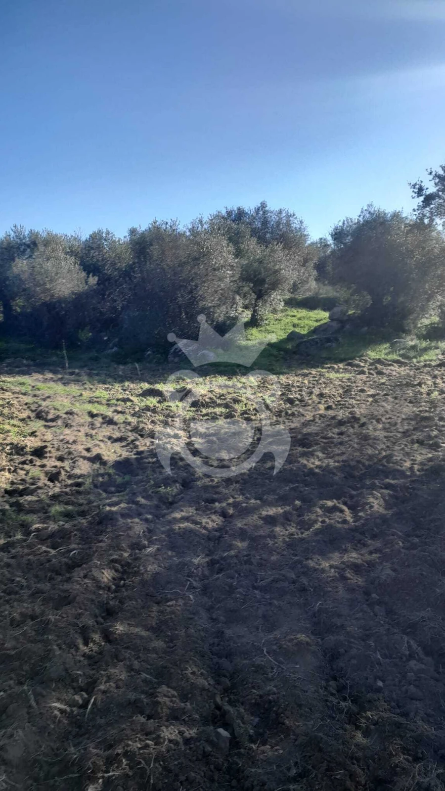 Terreno para Venda em Corval Foto 4