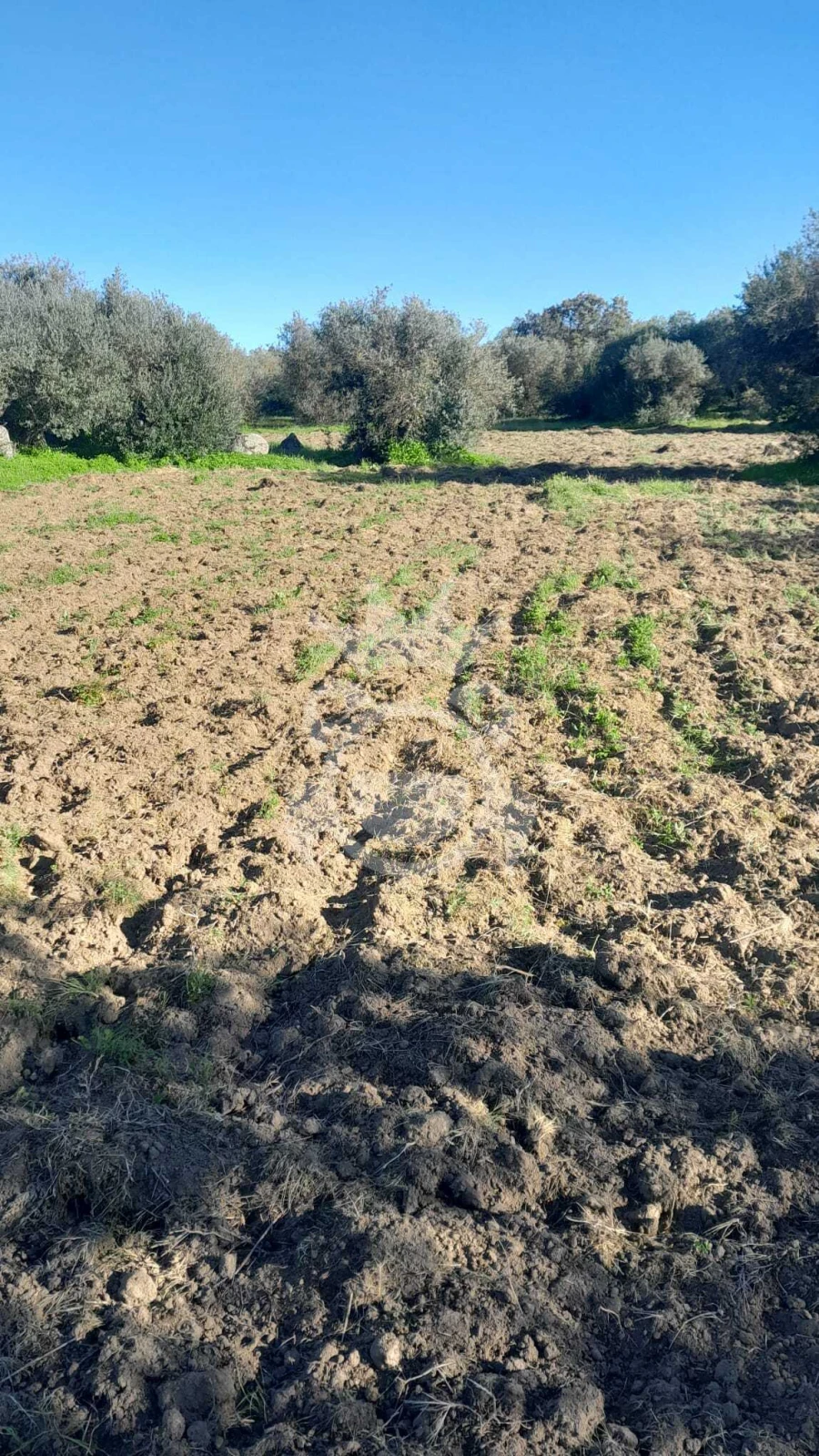 Terreno para Venda em Corval Foto 3