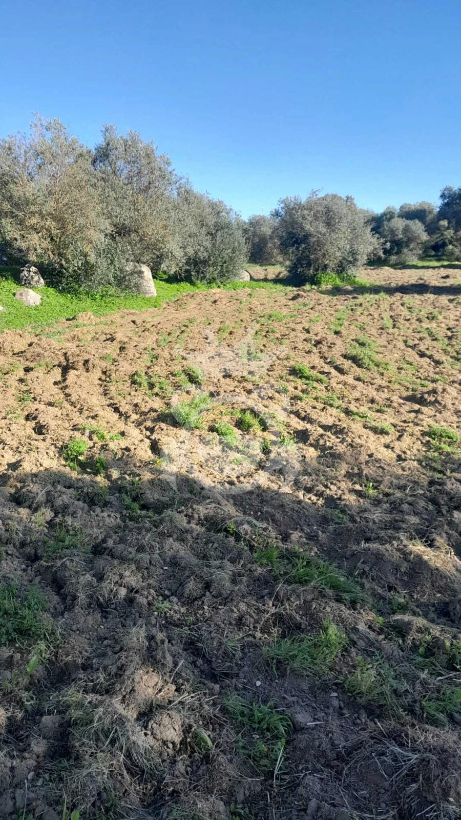 Terreno para Venda em Corval Foto 1