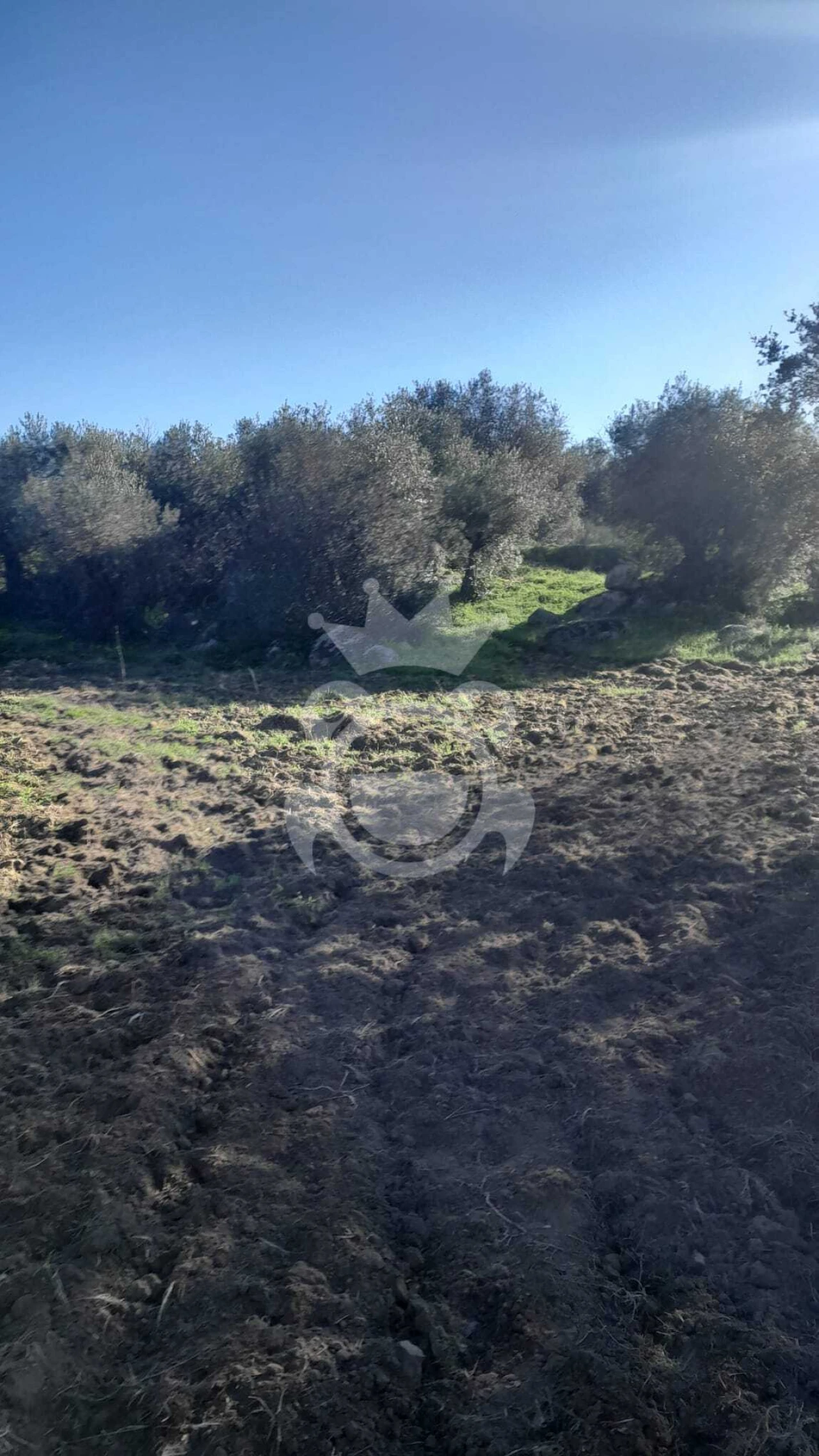 Terreno para Venda em Corval Foto 4