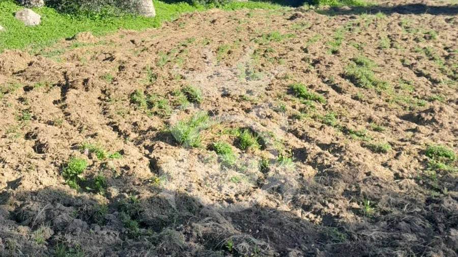 Terreno para Venda em Corval