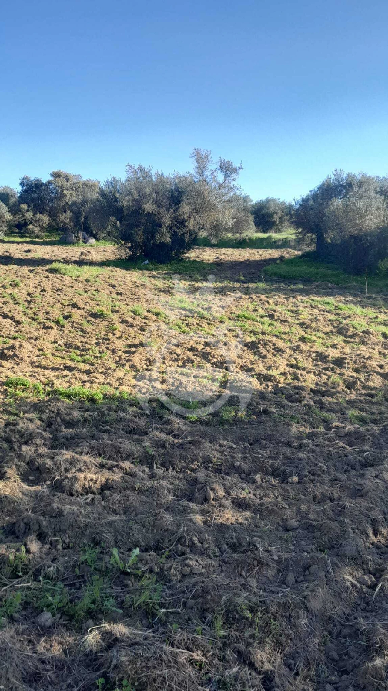 Terreno para Venda em Corval Foto 2