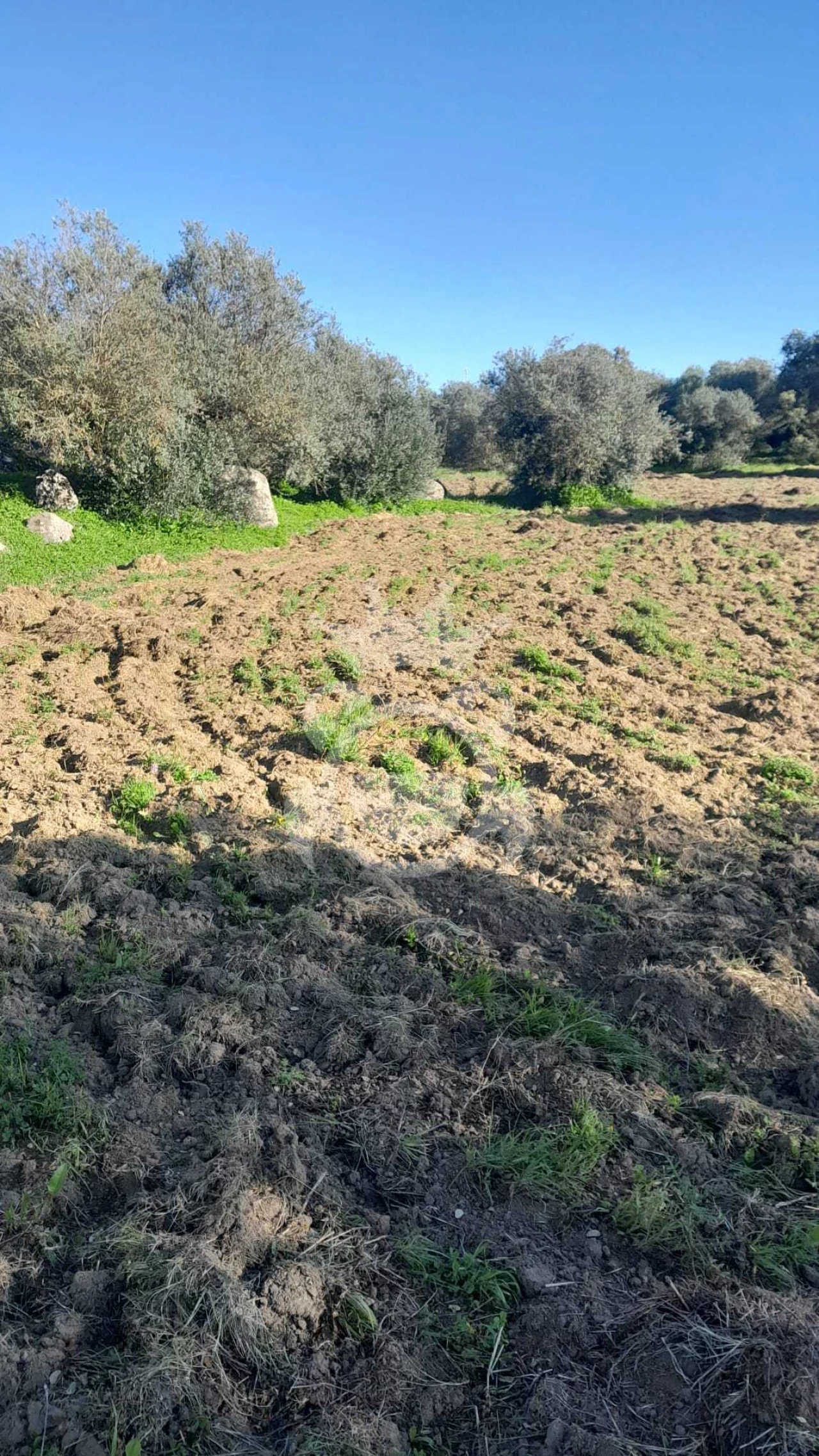 Terreno para Venda em Corval Foto 1