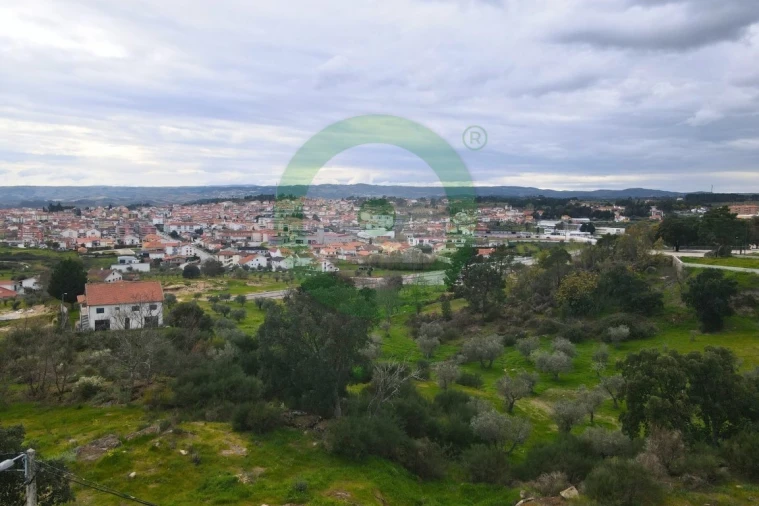 Moradia T4 para Venda em Valpaços e Sanfins Foto 9