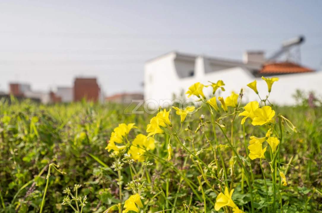 Terreno para Venda em Moledo e Cristelo Foto 4