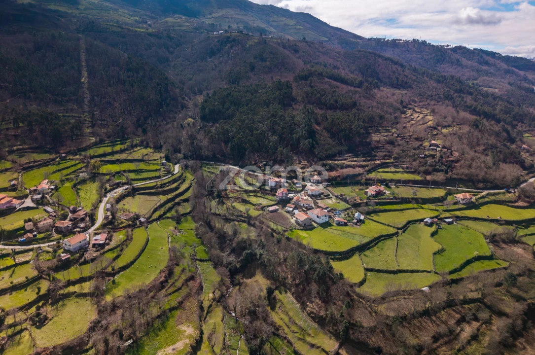 Moradia T6 para Venda em Santiago de Piães Foto 16