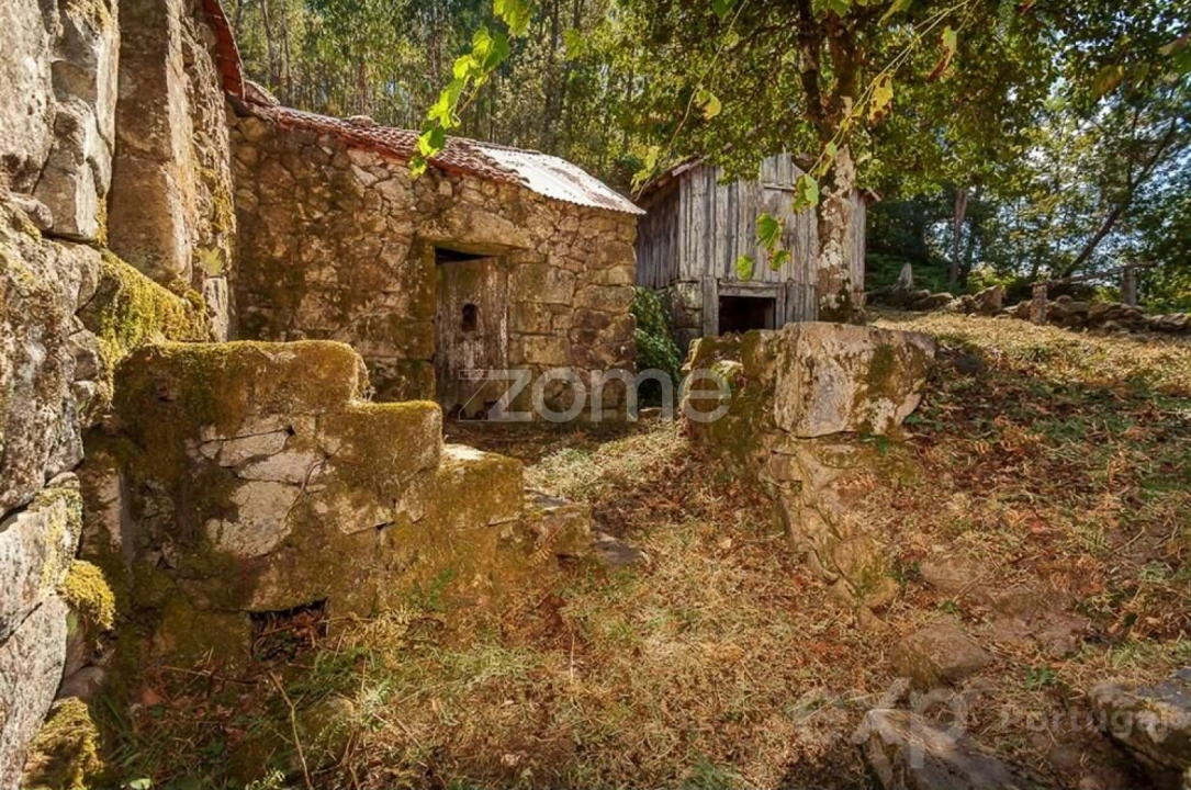 Moradia T6 para Venda em Santiago de Piães Foto 6