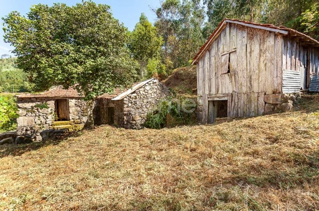 Moradia T6 para Venda em Santiago de Piães Foto 5