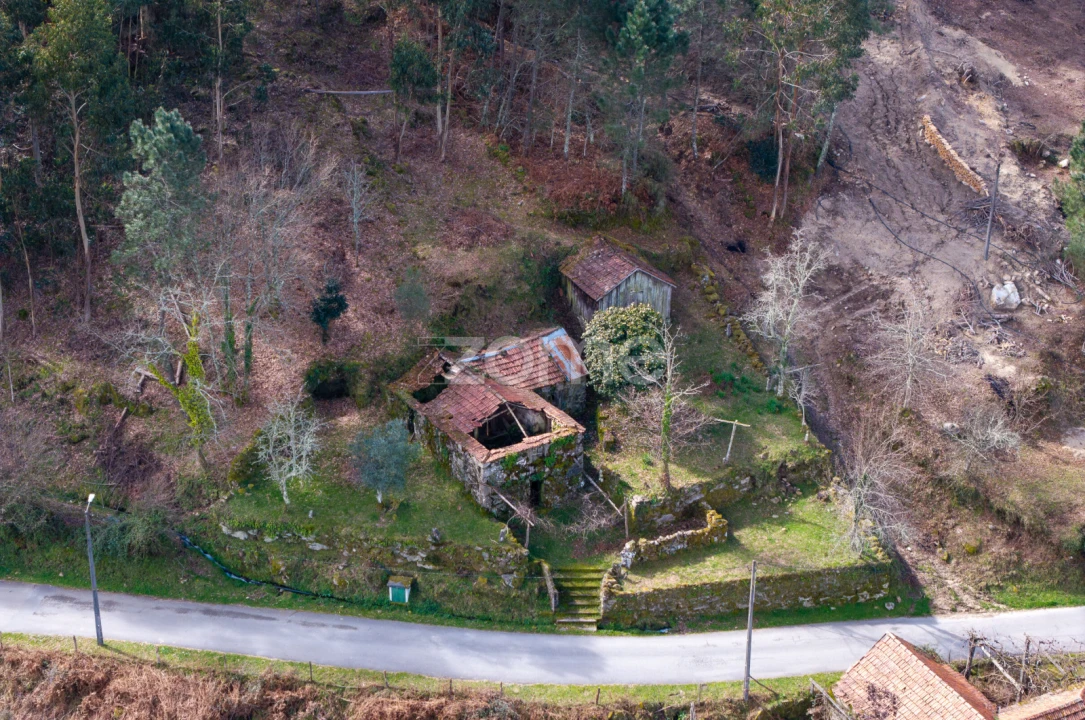 Moradia T6 para Venda em Santiago de Piães Foto 13