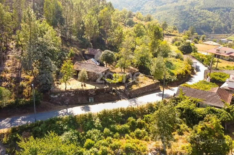 Moradia T6 para Venda em Santiago de Piães Foto 4