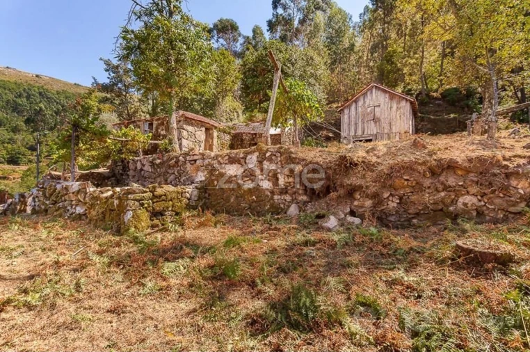 Moradia T6 para Venda em Santiago de Piães Foto 9