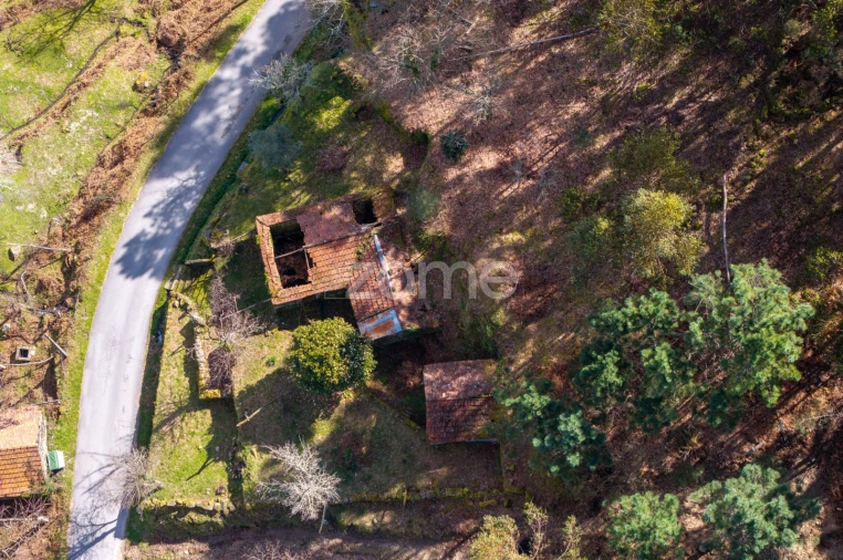 Moradia T6 para Venda em Santiago de Piães Foto 14