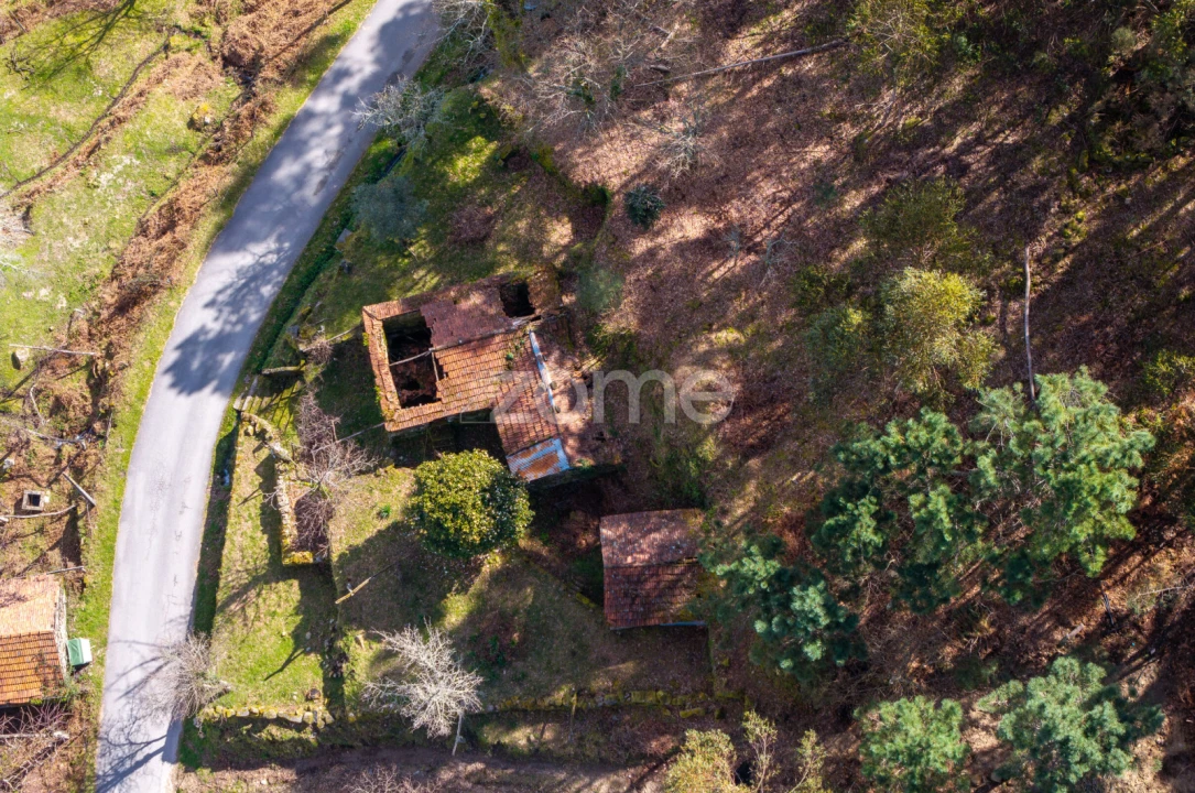 Moradia T6 para Venda em Santiago de Piães Foto 14