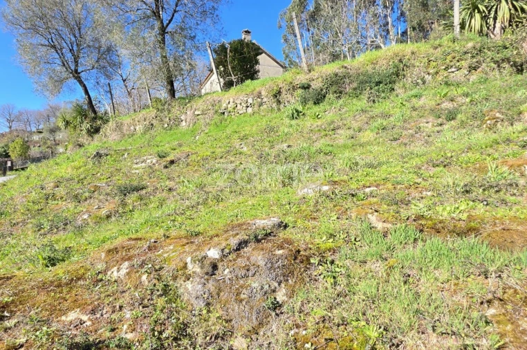 Moradia T1 para Venda em Ribeira do Neiva Foto 3