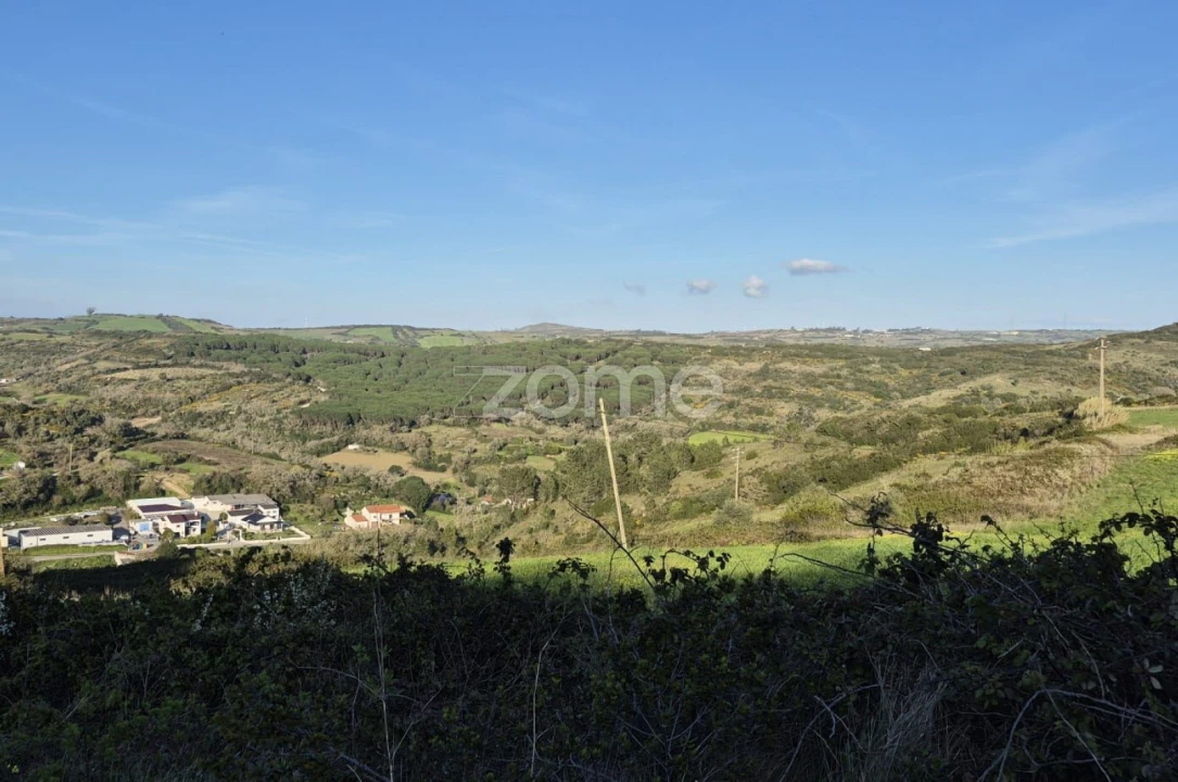 Terreno para Venda em Arranho Foto 16