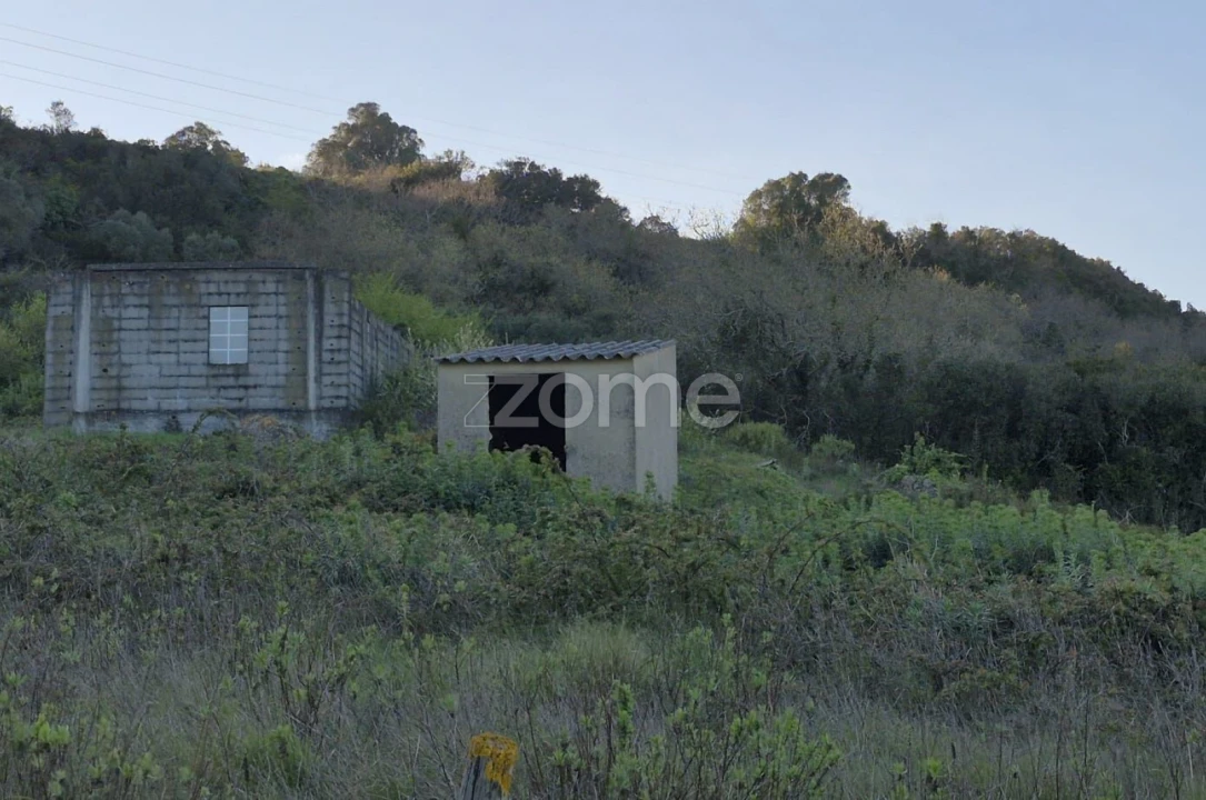Terreno para Venda em Arranho Foto 2