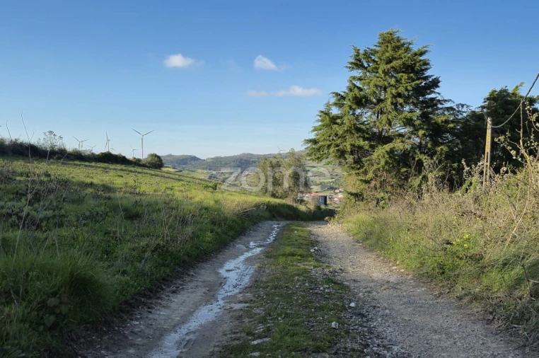 Terreno para Venda em Arranho