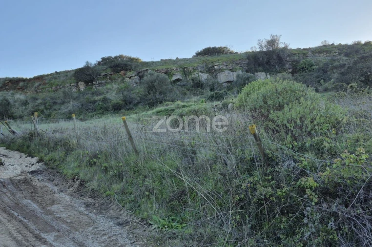 Terreno para Venda em Arranho Foto 11