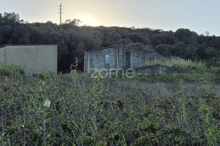 Terreno para Venda em Arranho Foto 4
