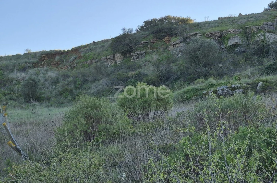 Terreno para Venda em Arranho Foto 13