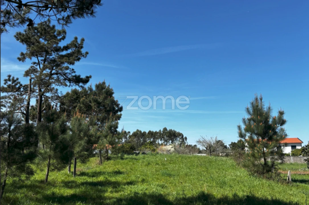 Terreno para Venda em Quiaios Foto 2