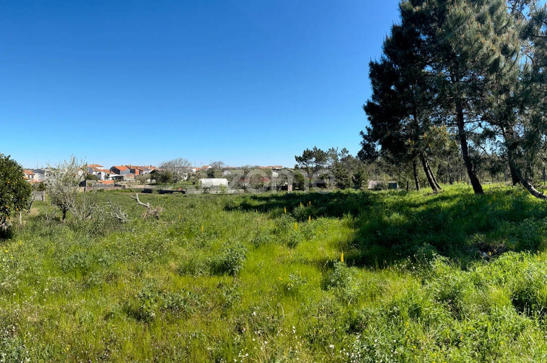 Terreno para Venda em Quiaios Foto 1