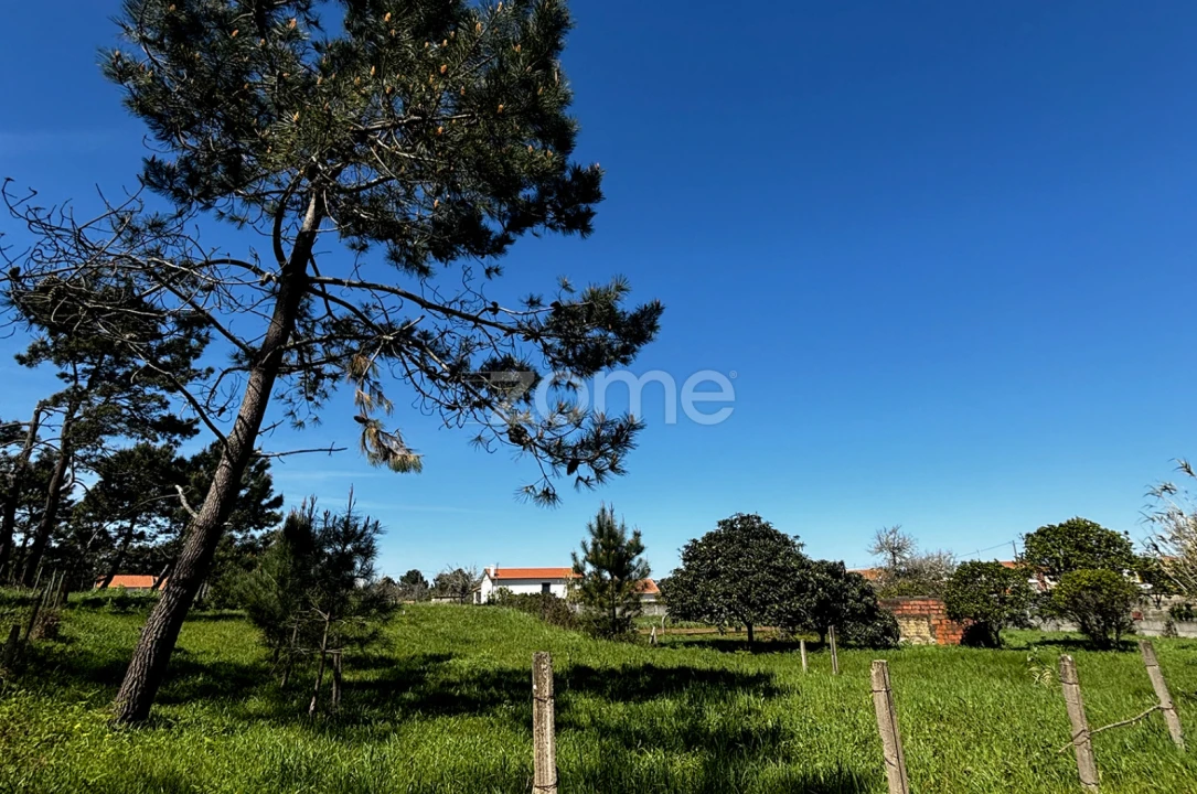 Terreno para Venda em Quiaios Foto 12