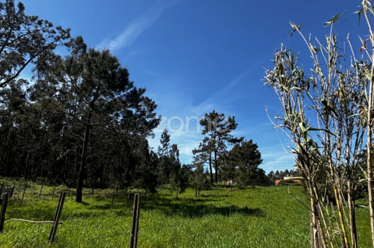 Terreno para Venda em Quiaios Foto 3