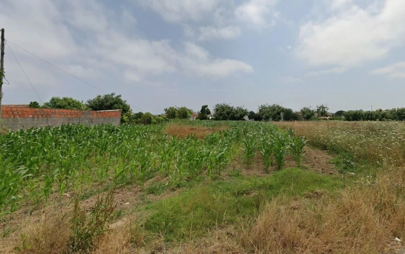 Terreno para Venda em São Bernardo Foto 4