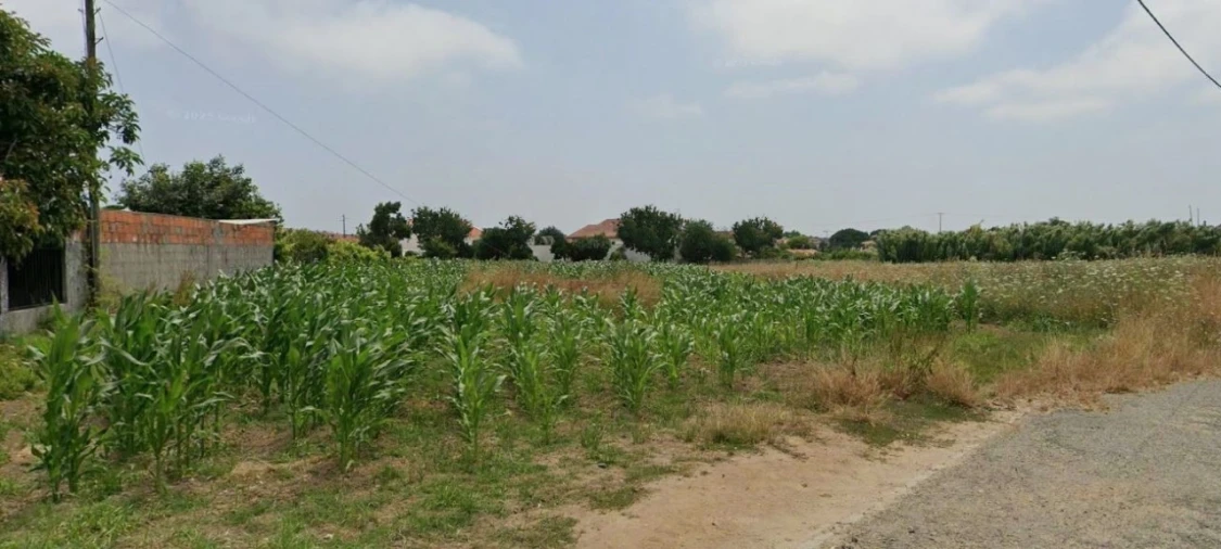 Terreno para Venda em São Bernardo Foto 2