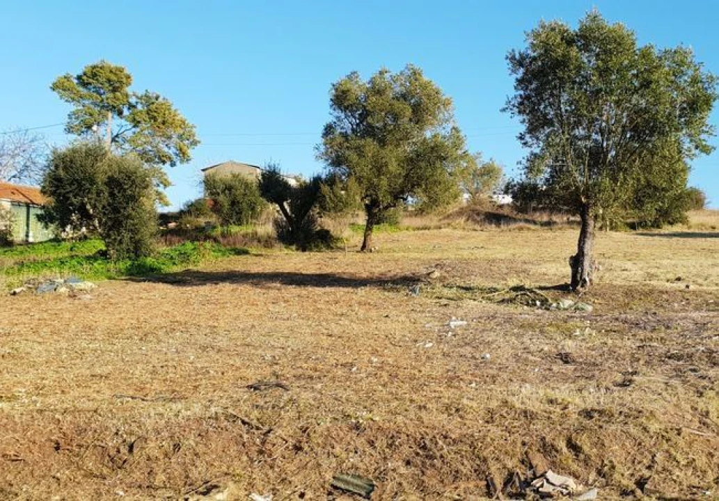 Terreno para Venda em Trouxemil e Torre de Vilela Foto 3