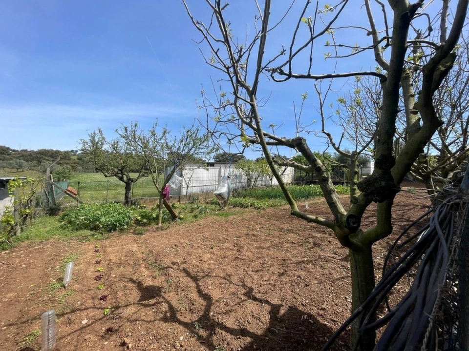 Quinta T3 para Venda em Nossa Senhora da Vila, Nossa Senhora do Bispo e Silveiras Foto 28